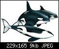 Cliquez sur l'image pour la voir en taille relle

Nom : Orca3.jpg
Affichages : 170
Taille : 9,2 Ko
ID : 1628