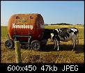Cliquez sur l'image pour la voir en taille relle

Nom : Rservoir KRO. + vaches.jpg
Affichages : 185
Taille : 47,4 Ko
ID : 2351