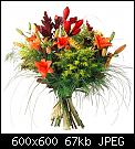 Cliquez sur l'image pour la voir en taille relle

Nom : bouquet2.jpg
Affichages : 201
Taille : 66,8 Ko
ID : 4016